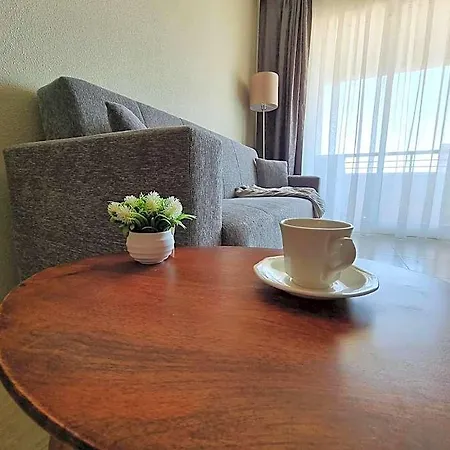 Hotel Comfortable In Excellent Location Torrevieja